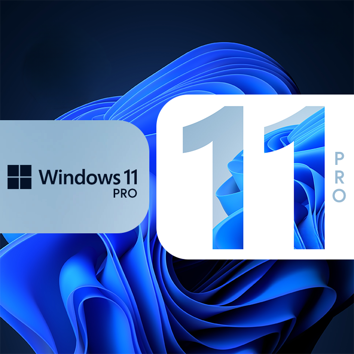 Windows 11